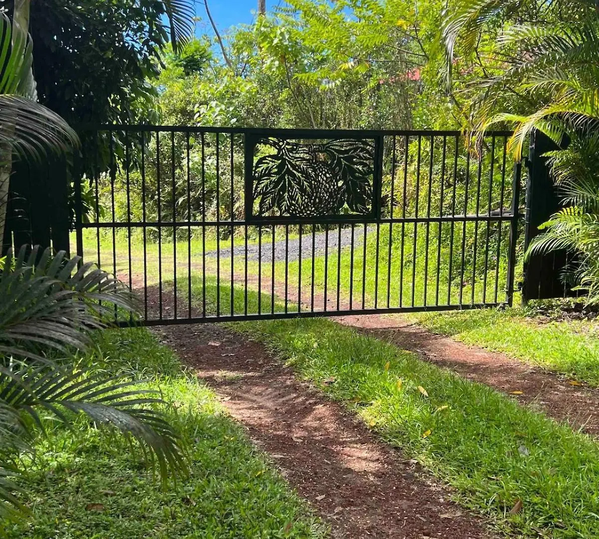 Lotus Lava Cottage Pahoa Σπίτι διακοπών