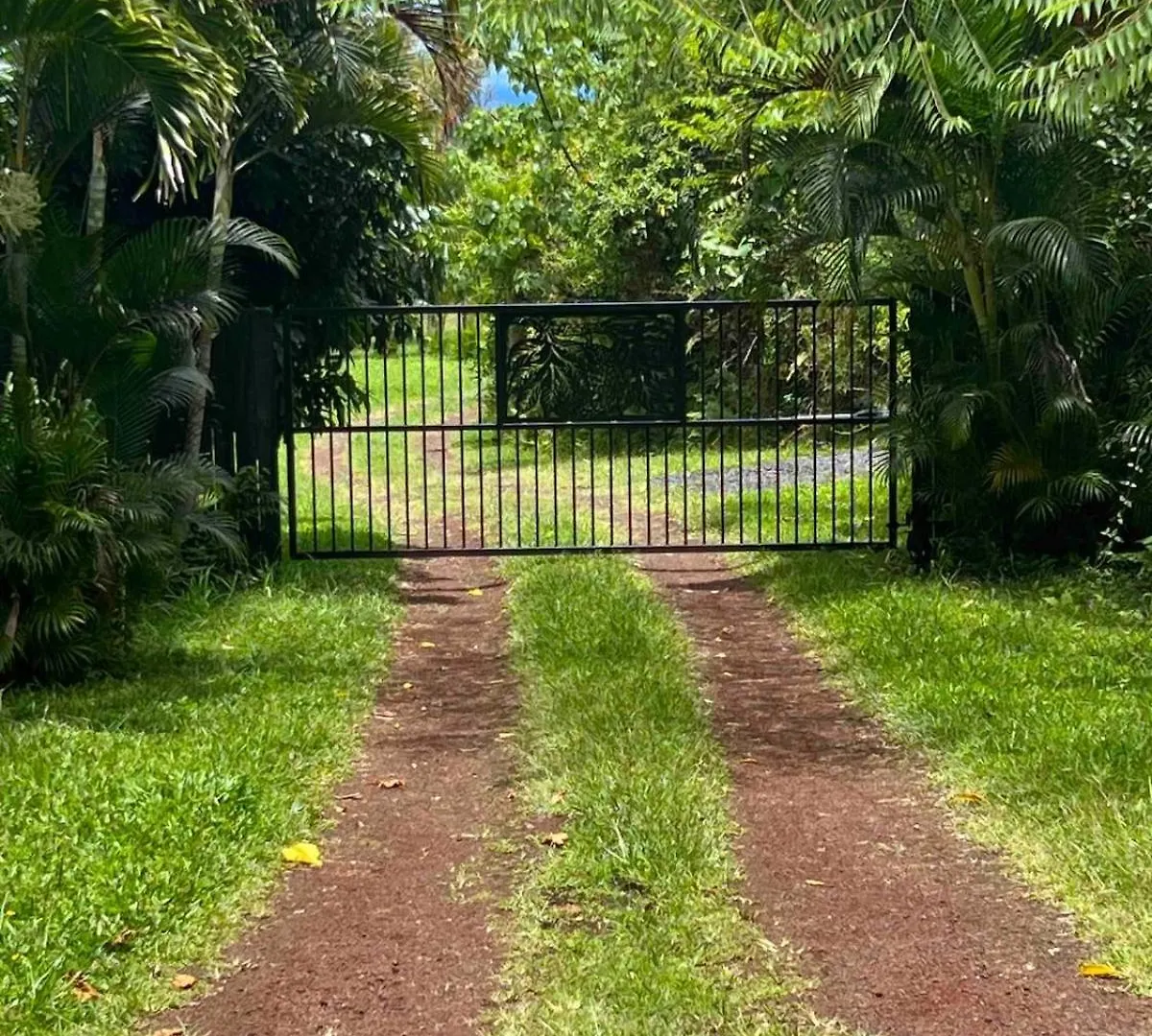 Σπίτι διακοπών Lotus Lava Cottage Pahoa