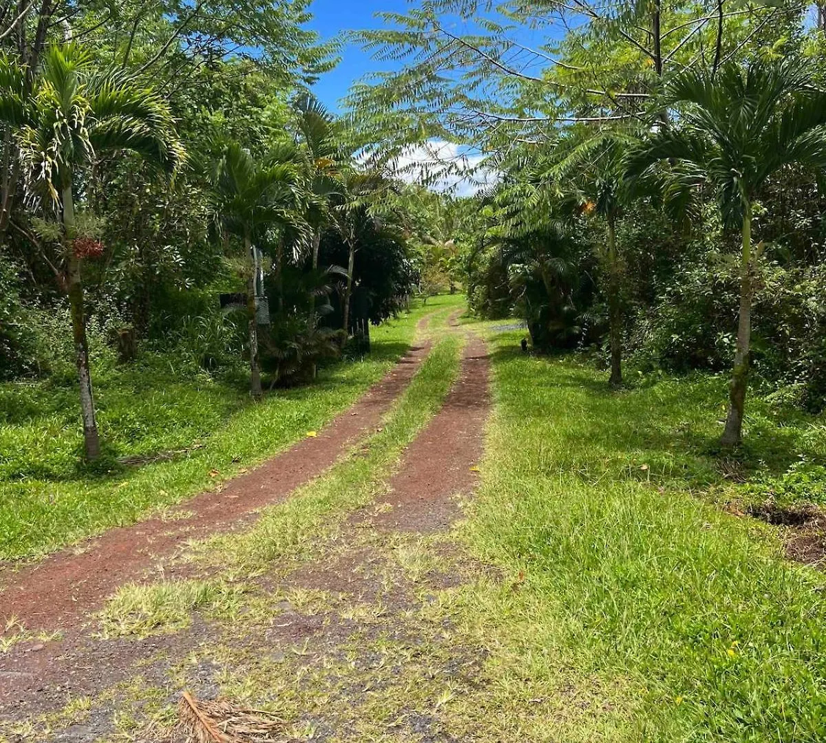 Lotus Lava Cottage Pahoa 0*,